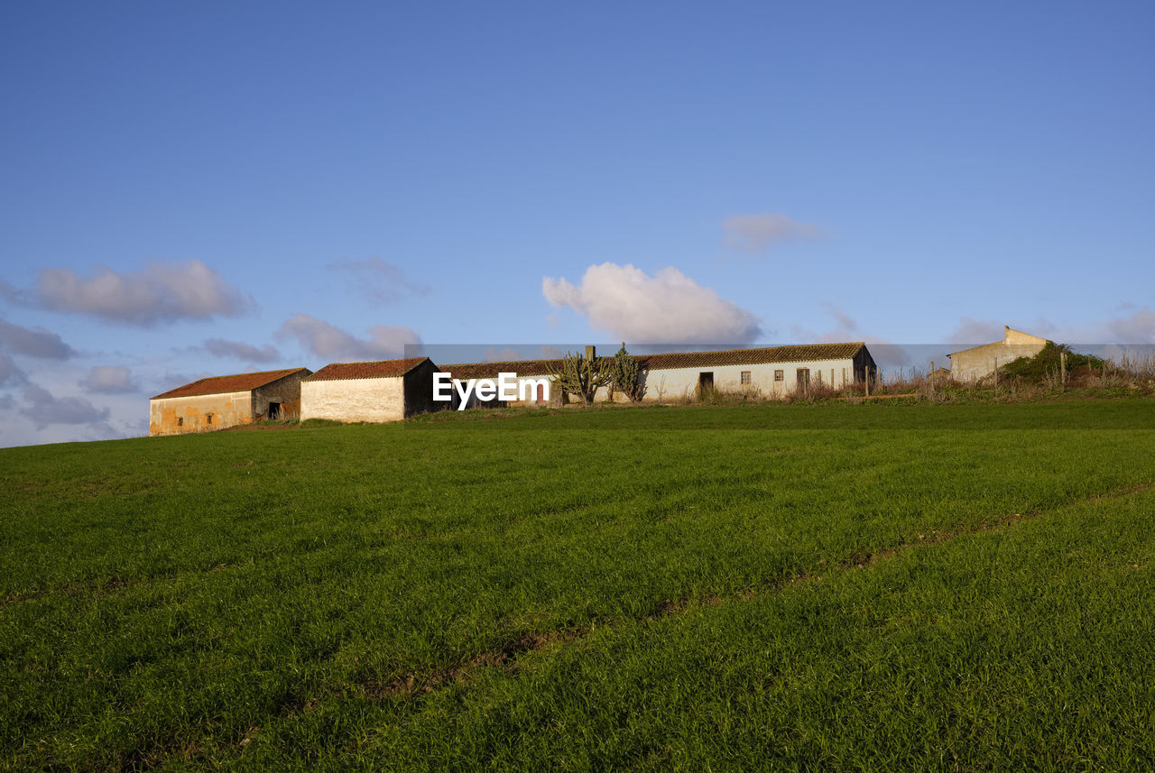 House on field against sky