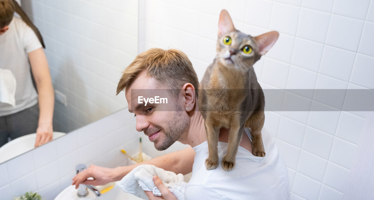 A young smiling blond man is washing his face with a blue abyssinian cat on his shoulders.domestic