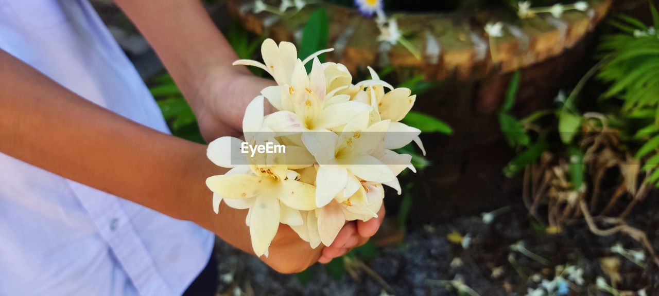 flower, flowering plant, plant, yellow, beauty in nature, nature, freshness, hand, adult, one person, women, close-up, spring, floristry, holding, bouquet, white, focus on foreground, fragility, flower head, outdoors, growth, day, floral design, wedding, bride, lifestyles, flower arrangement, midsection, wedding dress, petal