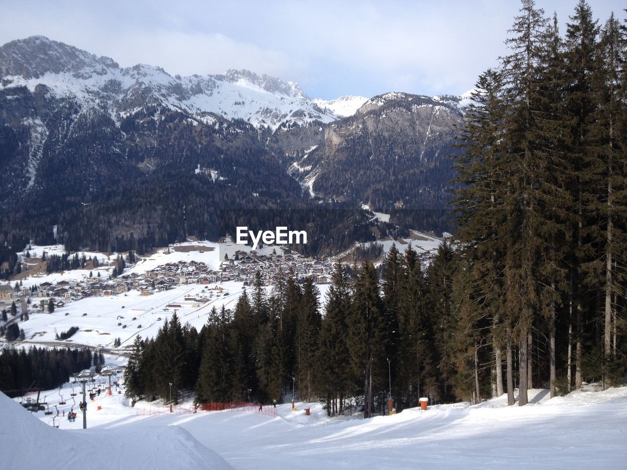 TREES ON SNOW COVERED LAND AGAINST SKY