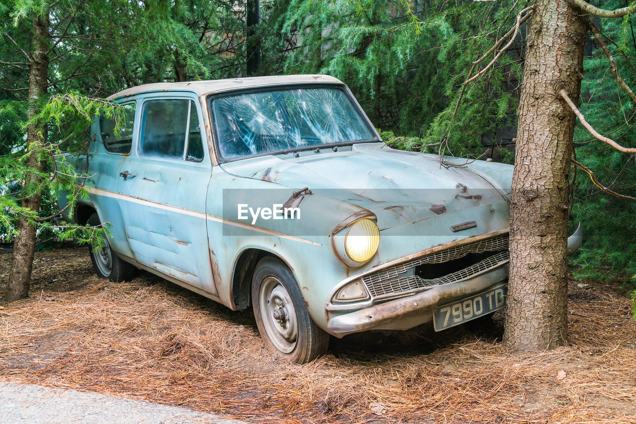 VIEW OF ABANDONED CAR ON THE FOREST