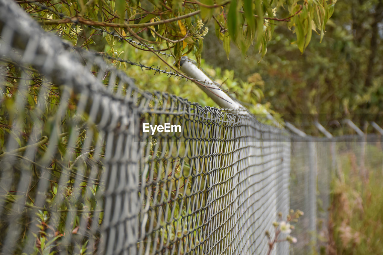 CLOSE-UP OF CHAINLINK FENCE AGAINST PLANTS