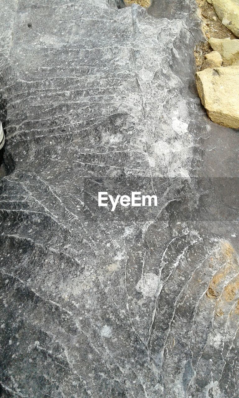 CLOSE-UP OF SAND ON BEACH