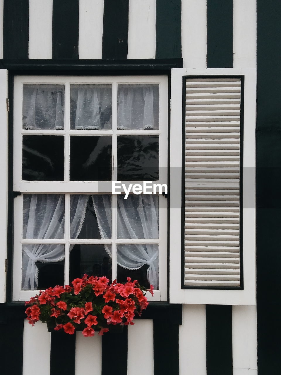 Flowers on window of building