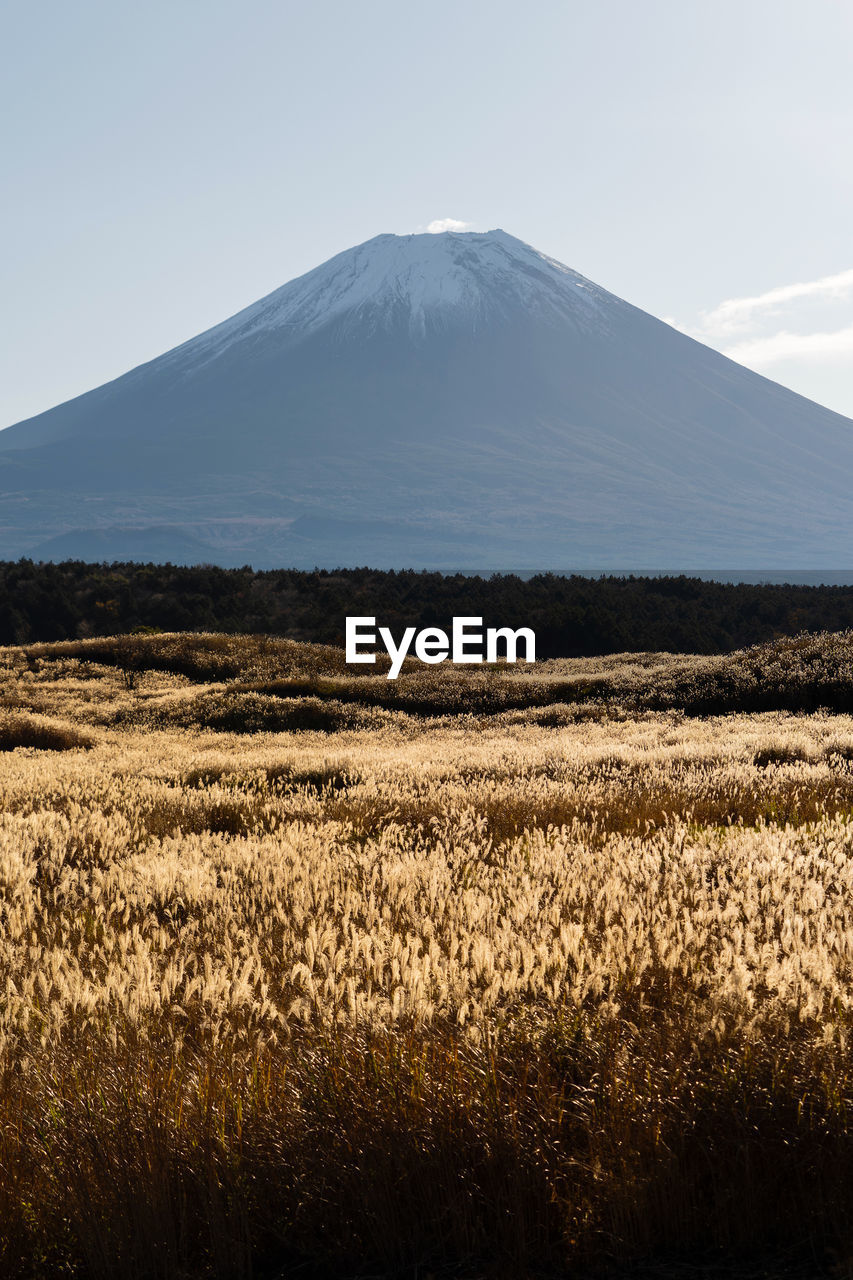 View of a field with mountain range in the background