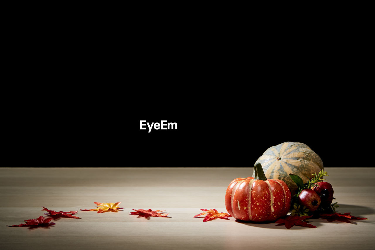 CLOSE-UP OF PUMPKIN AGAINST BLACK BACKGROUND