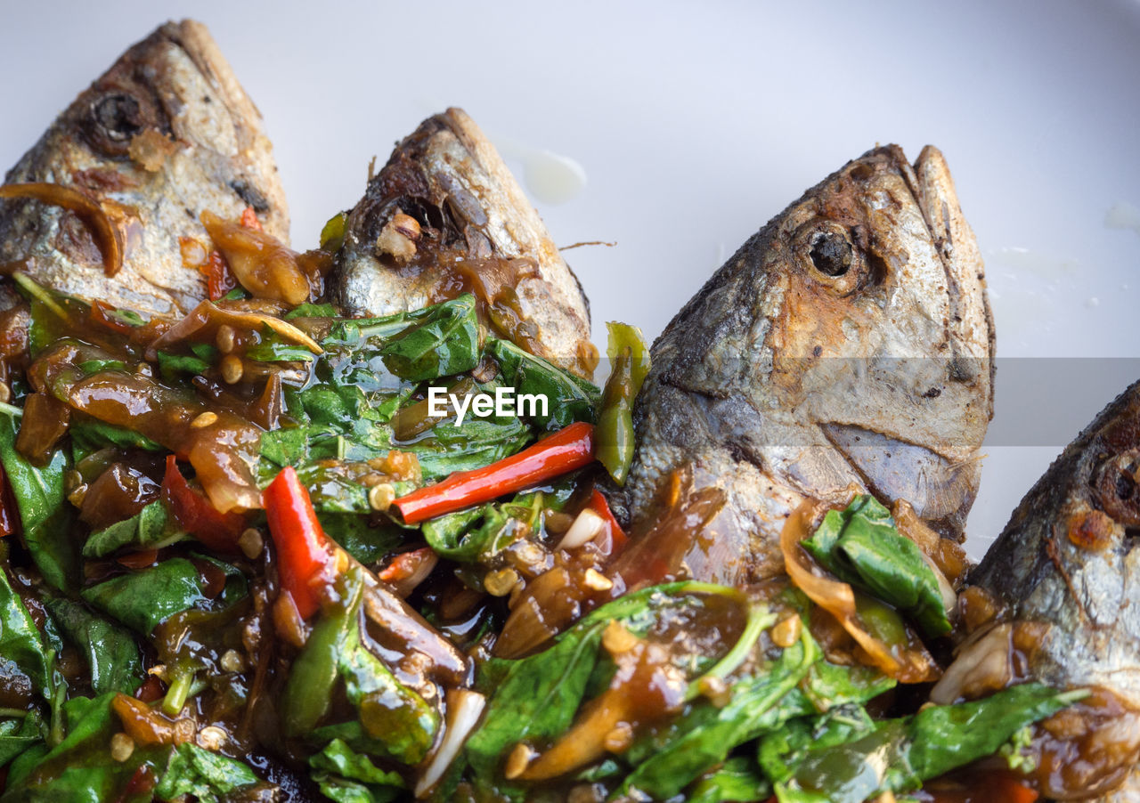 CLOSE-UP OF FISH ON PLATE