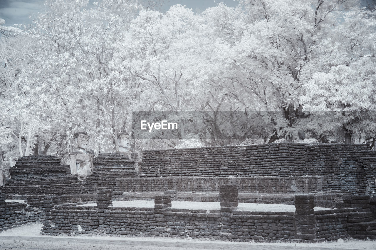 Snow white garden in ancient pagoda of the buddhist temple at kamphang phet historical park.