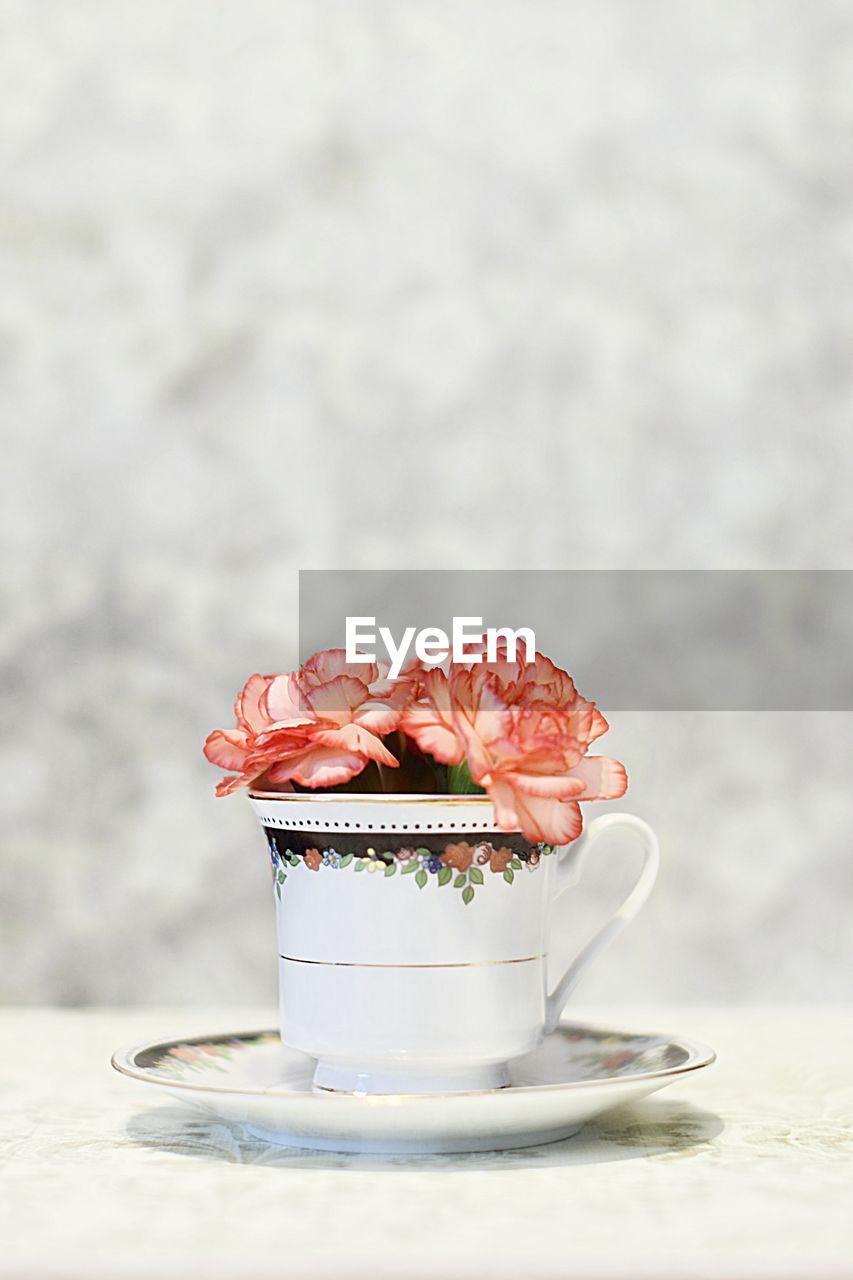 Flowers in tea cup on table