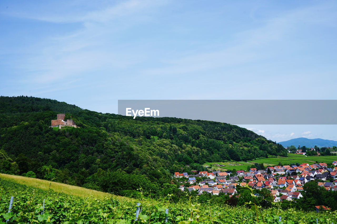 Scenic view of town by buildings against sky