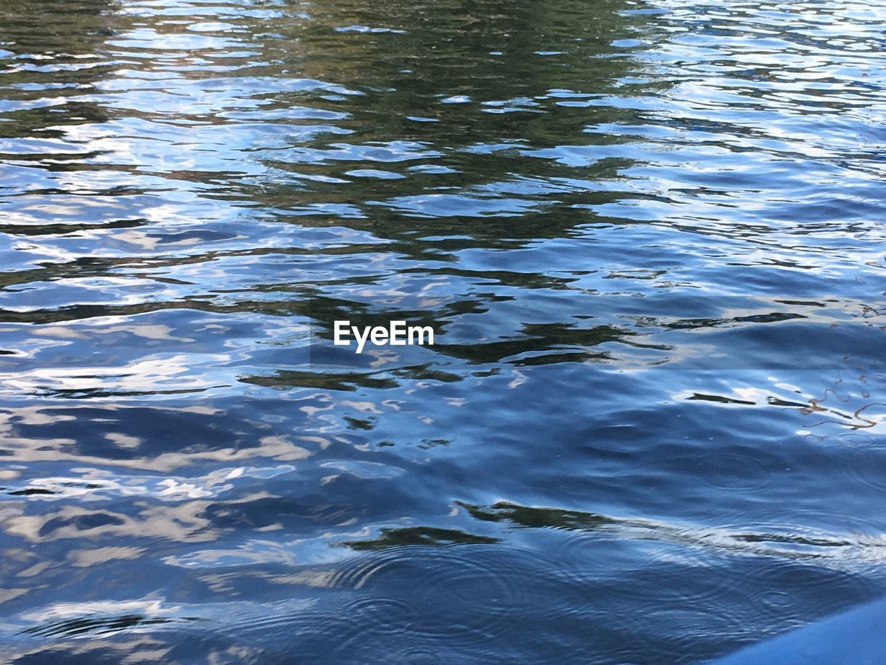 CLOSE-UP OF SWIMMING IN LAKE