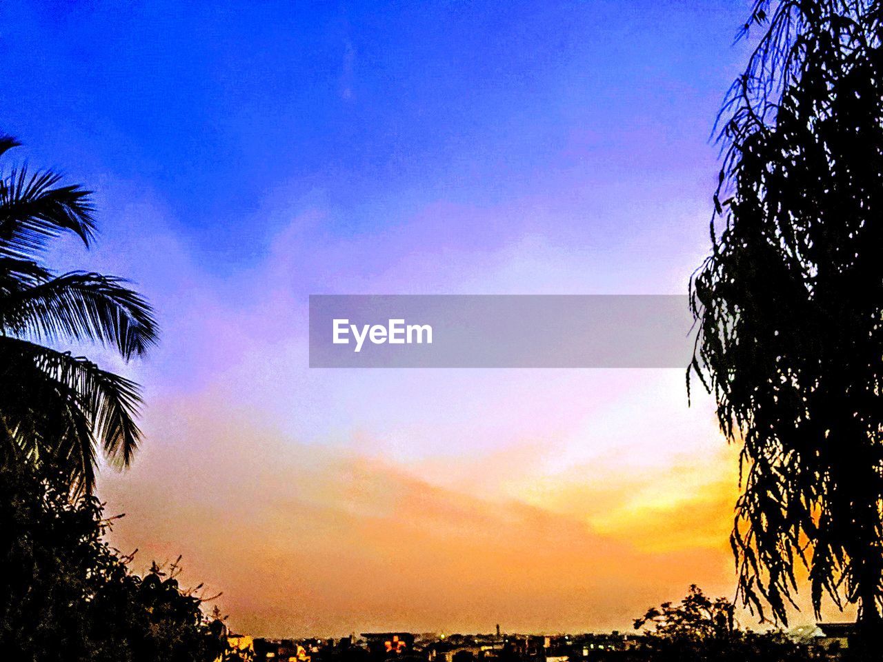 Low angle view of silhouette palm trees against sky during sunset