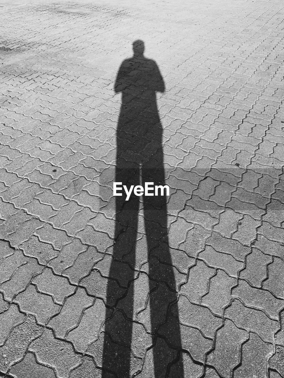 SHADOW OF MAN ON FOOTPATH