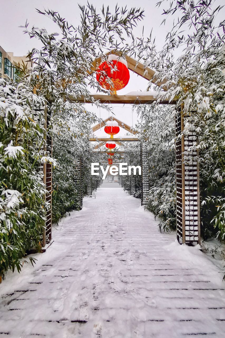 ROAD LEADING TOWARDS SNOW COVERED TREE