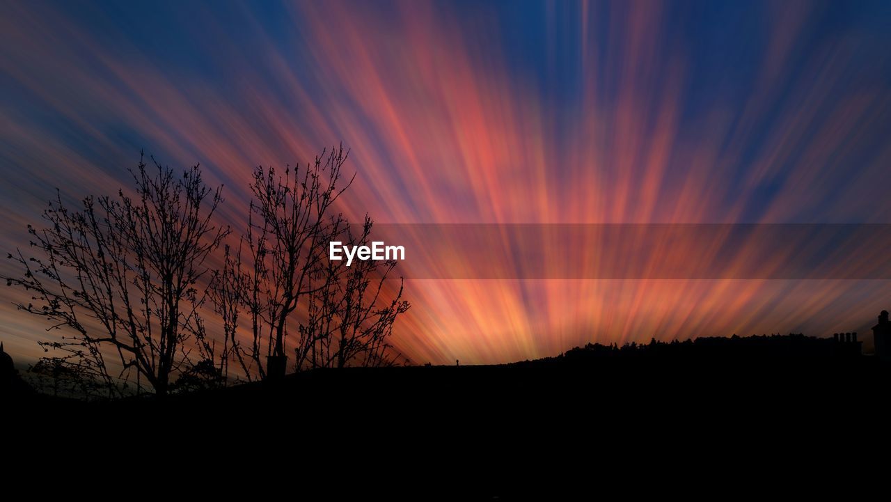 SILHOUETTE TREES AT SUNSET