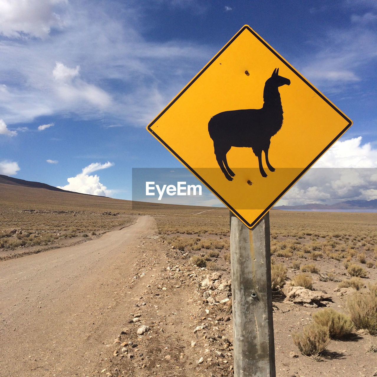 Llama crossing road sign against sky