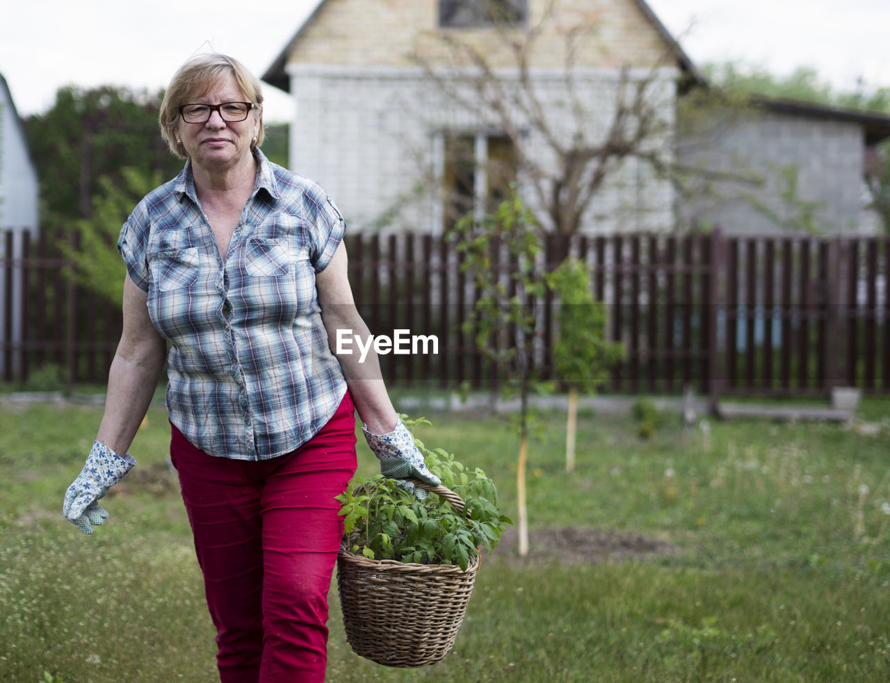 Senior caucasian woman holding a basket with tomato seedlings in the garden of a country house