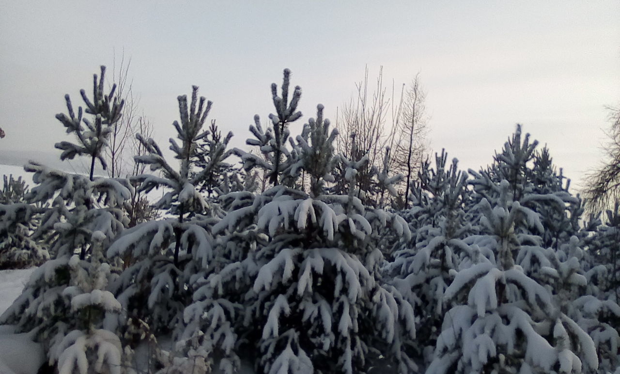 SNOW COVERED LAND AGAINST SKY