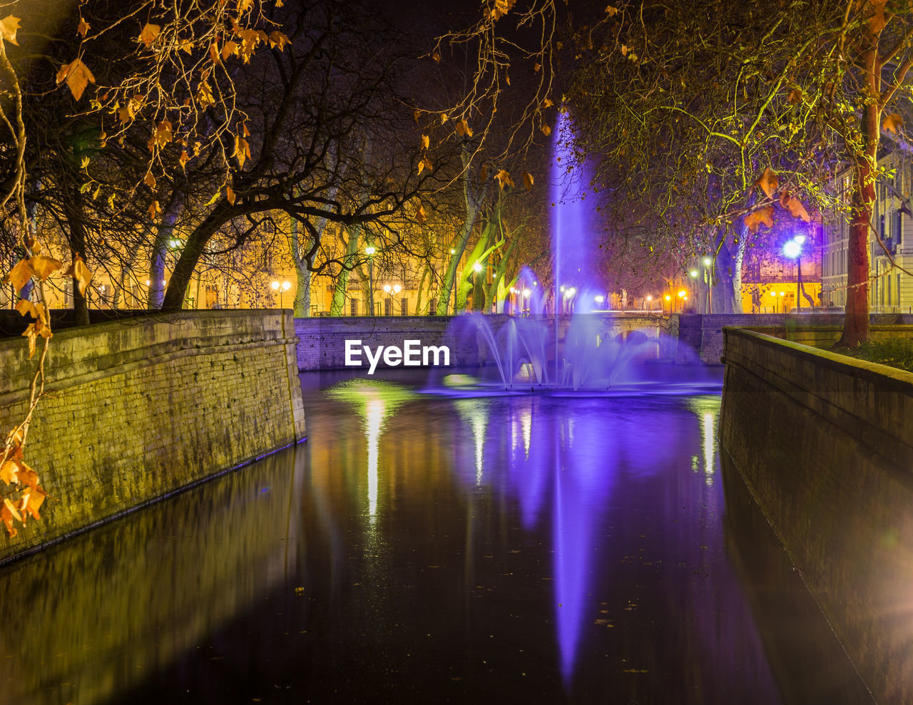 ILLUMINATED TREES BY RIVER AT NIGHT