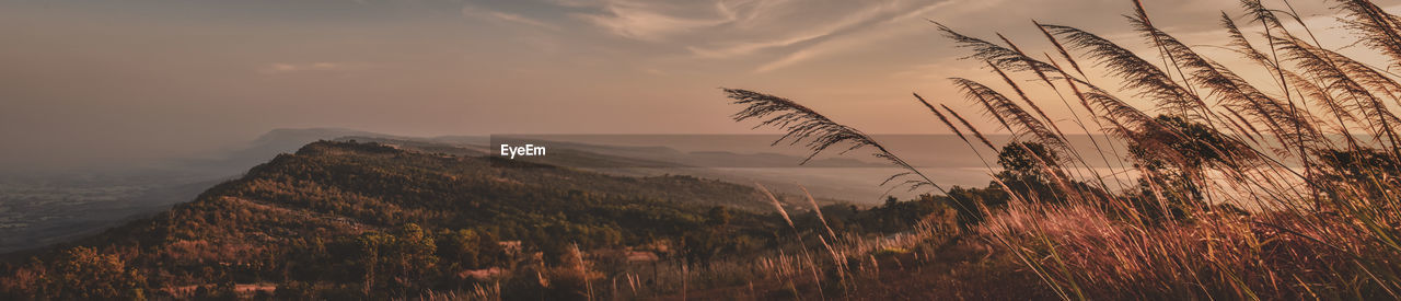 Scenic view of field against sky during sunset