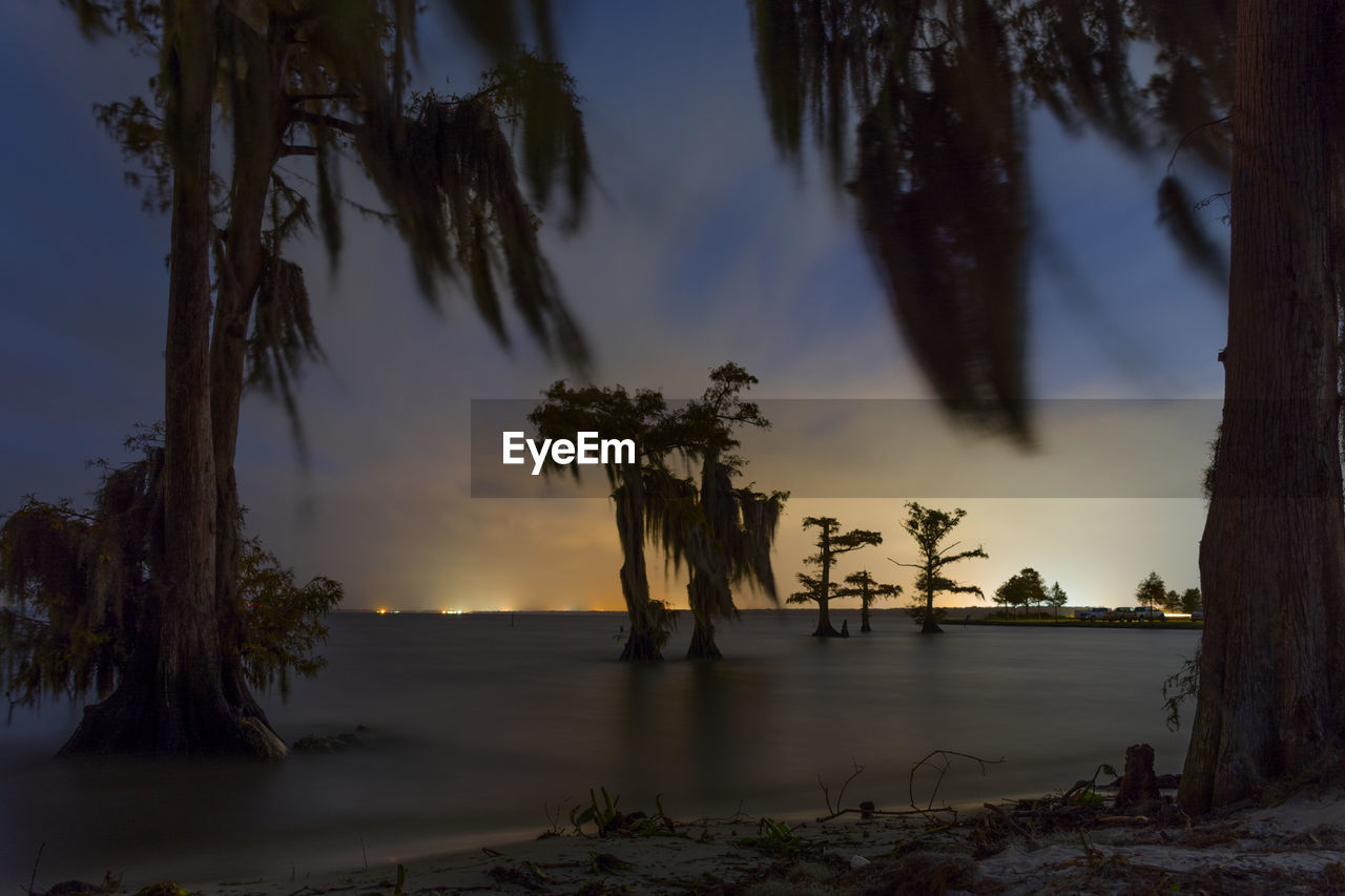 Trees growing amidst river against cloudy sky during sunset