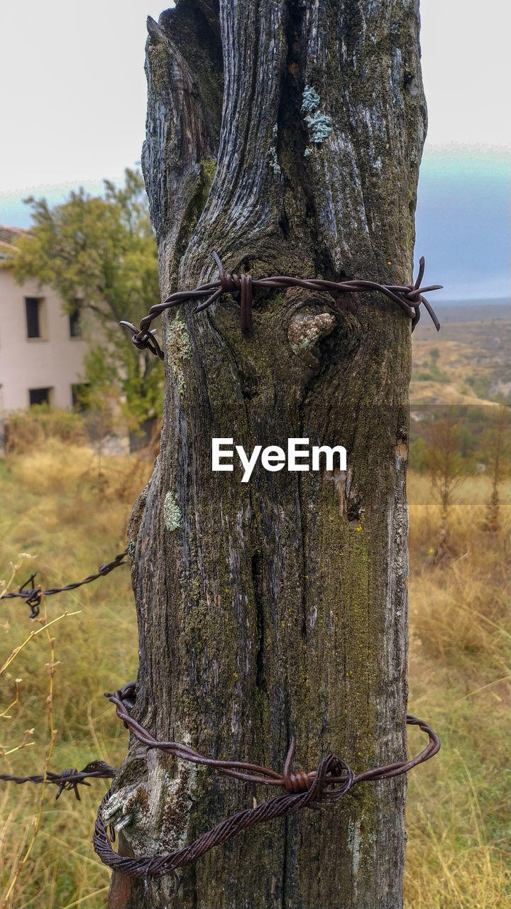 CLOSE-UP OF BARBED WIRE FENCE ON FIELD