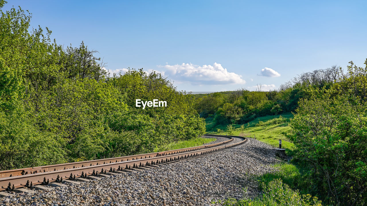 Railroad track amidst trees against sky