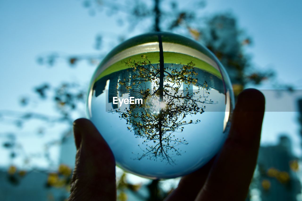 blue, reflection, sky, sphere, nature, holding, hand, focus on foreground, globe - man made object, one person, close-up, earth, macro photography, green, outdoors, world, yellow, tree, planet earth, sunlight, day, plant, light, cloud, glass, space