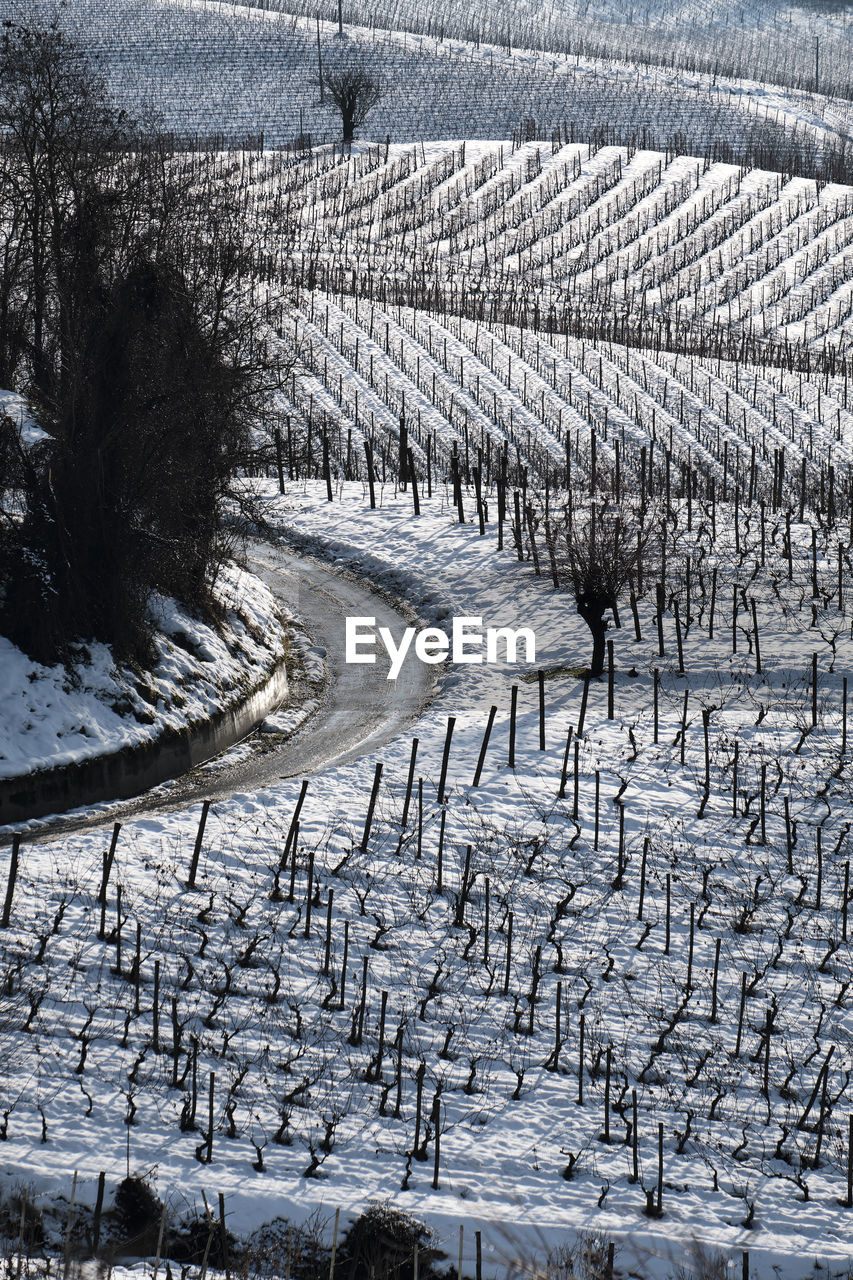 High angle view of snow covered field