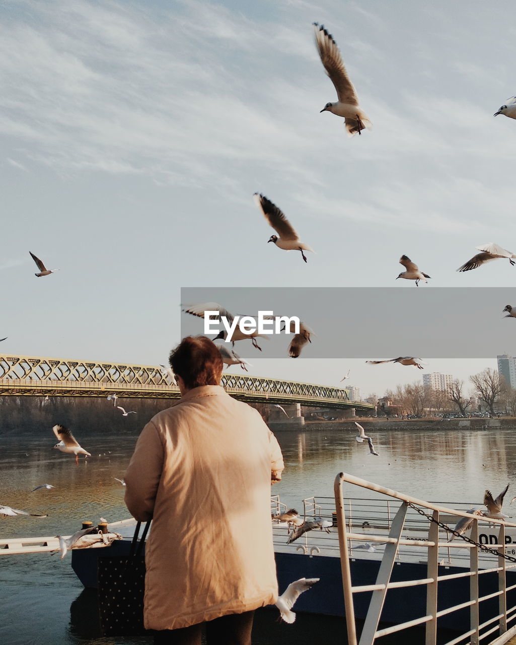 Rear view of man with seagulls flying against sky