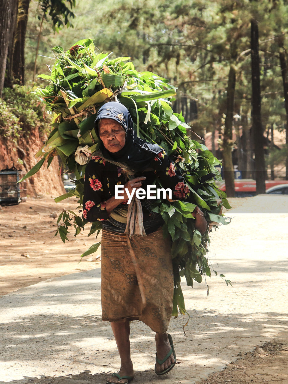 Senior woman carrying plants on road