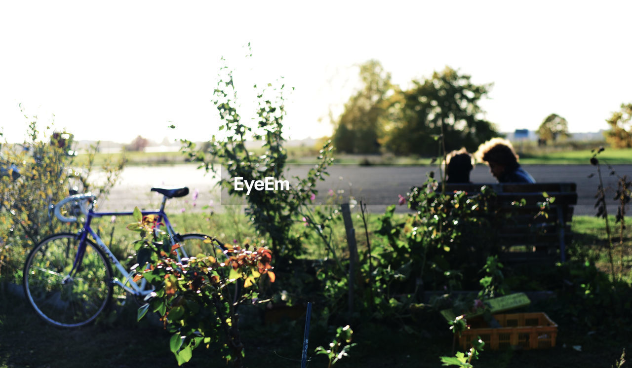 BICYCLE BY PLANTS AGAINST SKY