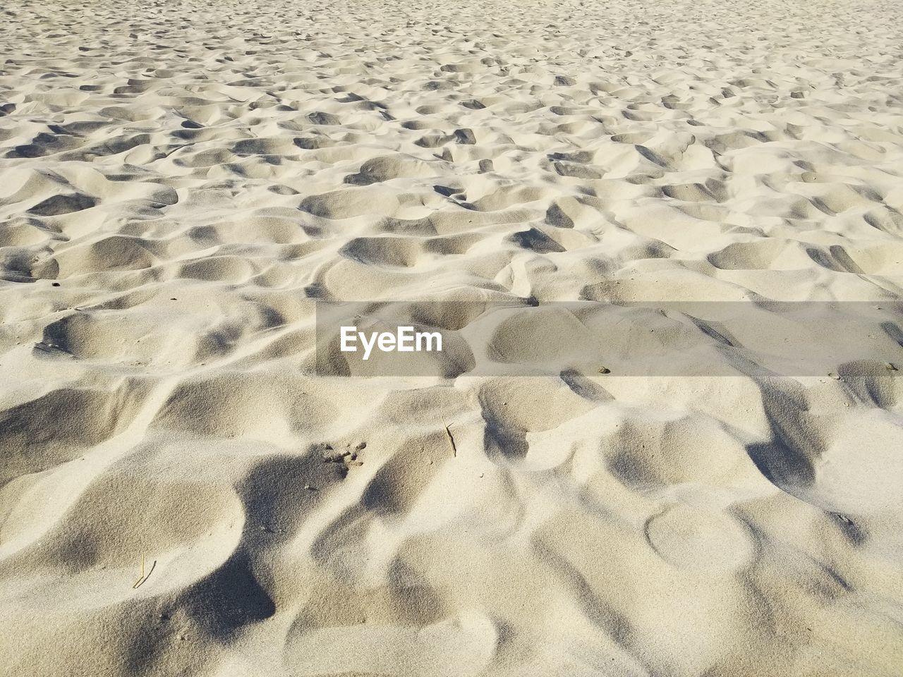 HIGH ANGLE VIEW OF SAND DUNE ON BEACH