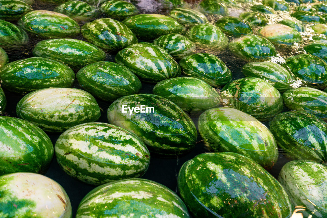 food, food and drink, plant, freshness, healthy eating, produce, green, wellbeing, fruit, large group of objects, market, abundance, no people, vegetable, melon, full frame, retail, for sale, market stall, backgrounds, high angle view, watermelon, still life, close-up, day, outdoors, nature, organic