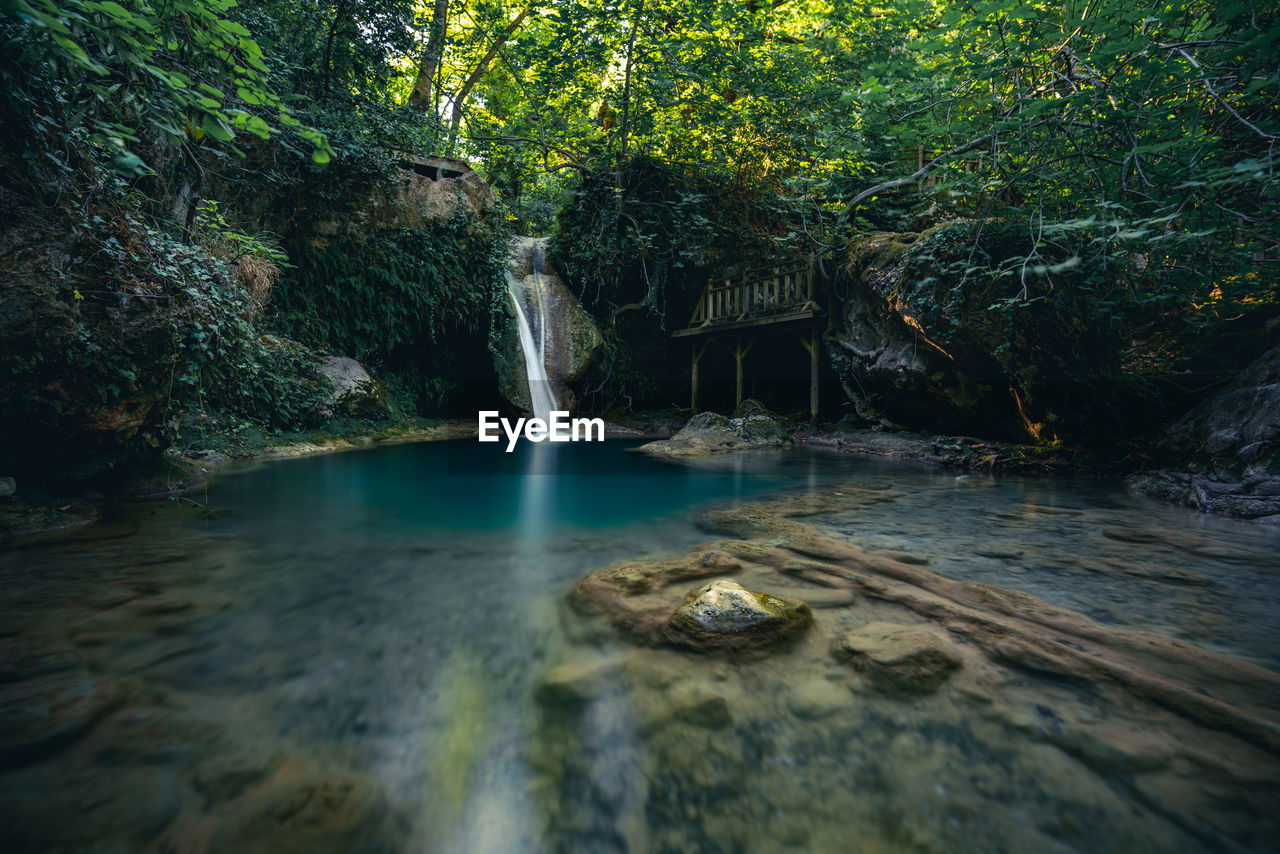 Scenic view of waterfall in forest