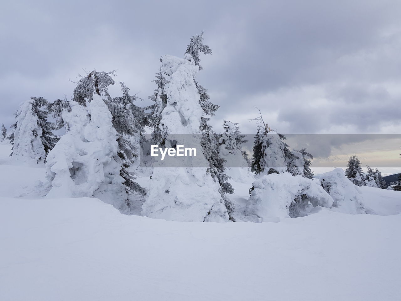 Snow covered land against sky