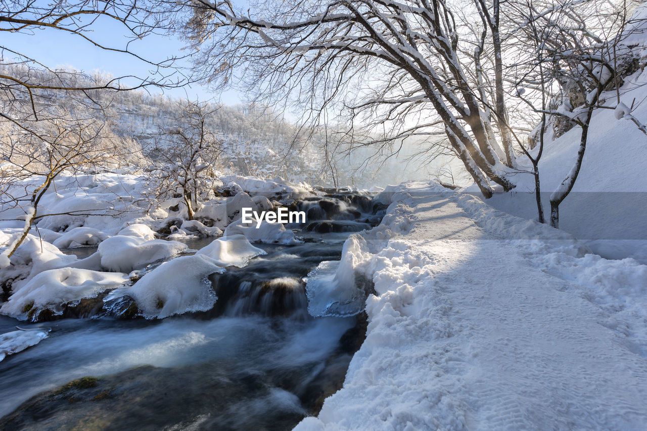 FROZEN RIVER BY TREES DURING WINTER