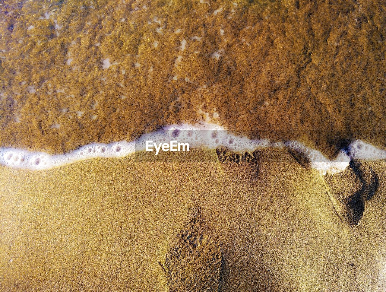 HIGH ANGLE VIEW OF BEACH