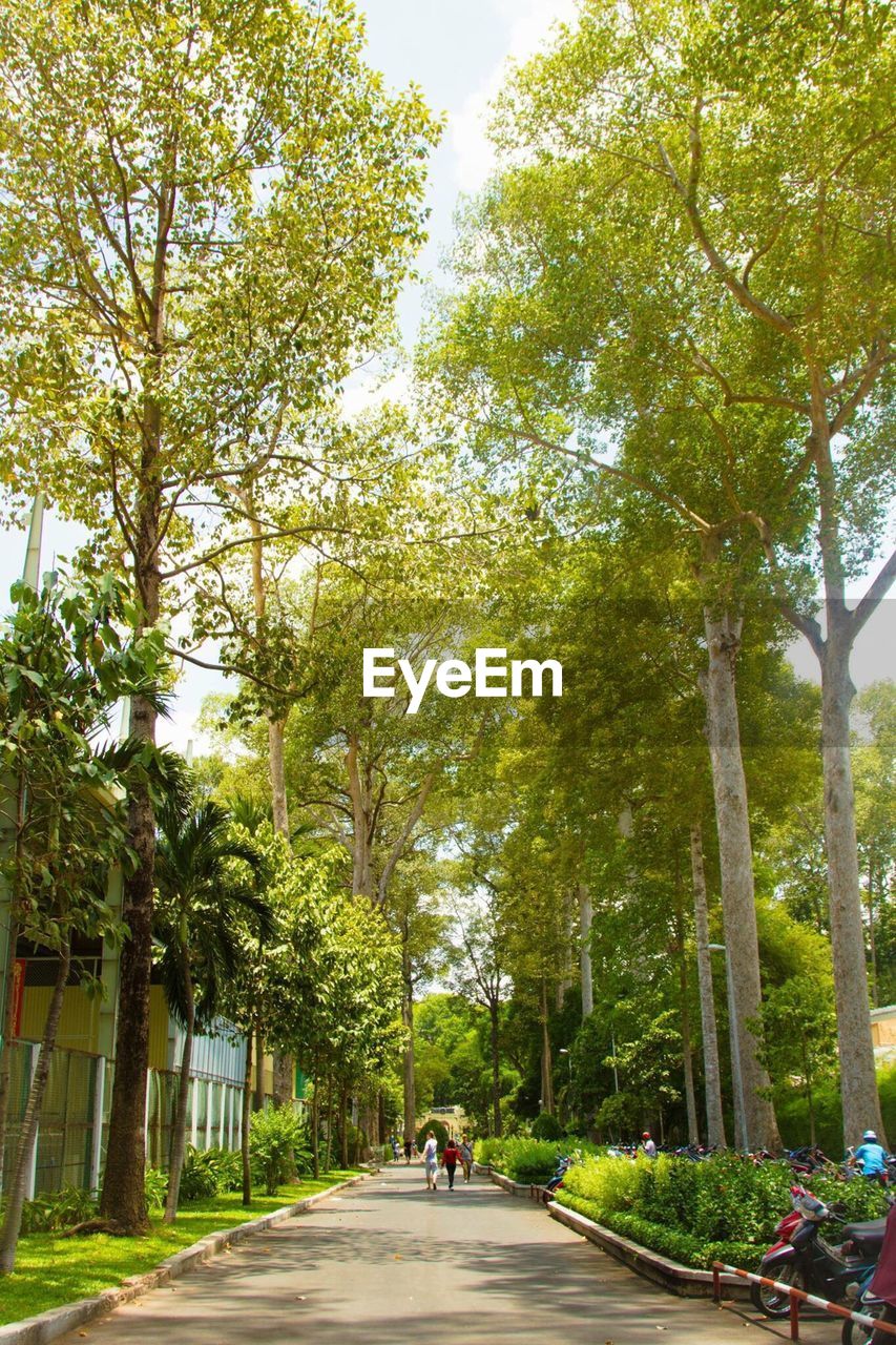 PEOPLE WALKING ON PATHWAY AMIDST TREES