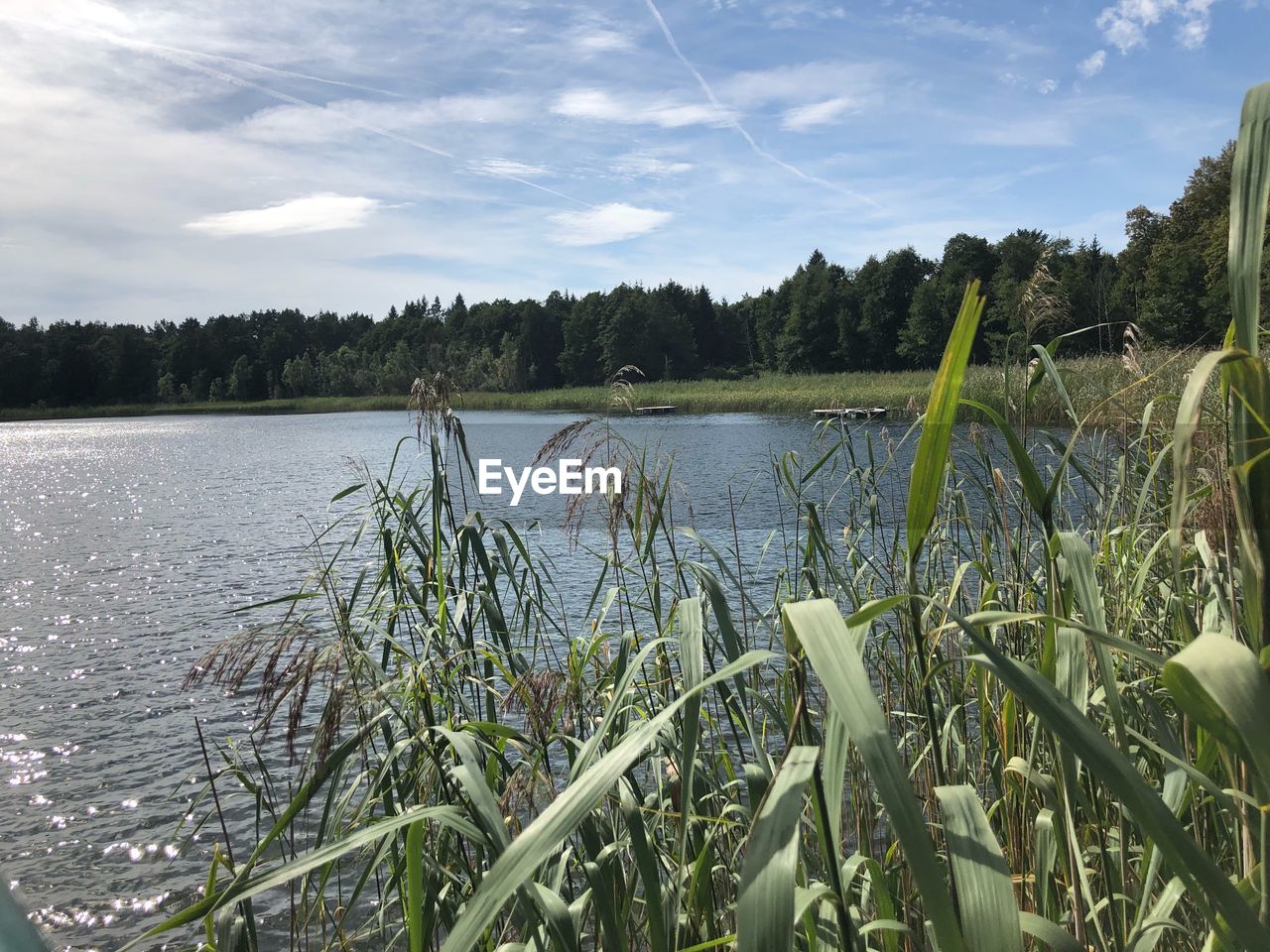 SCENIC VIEW OF LAKE