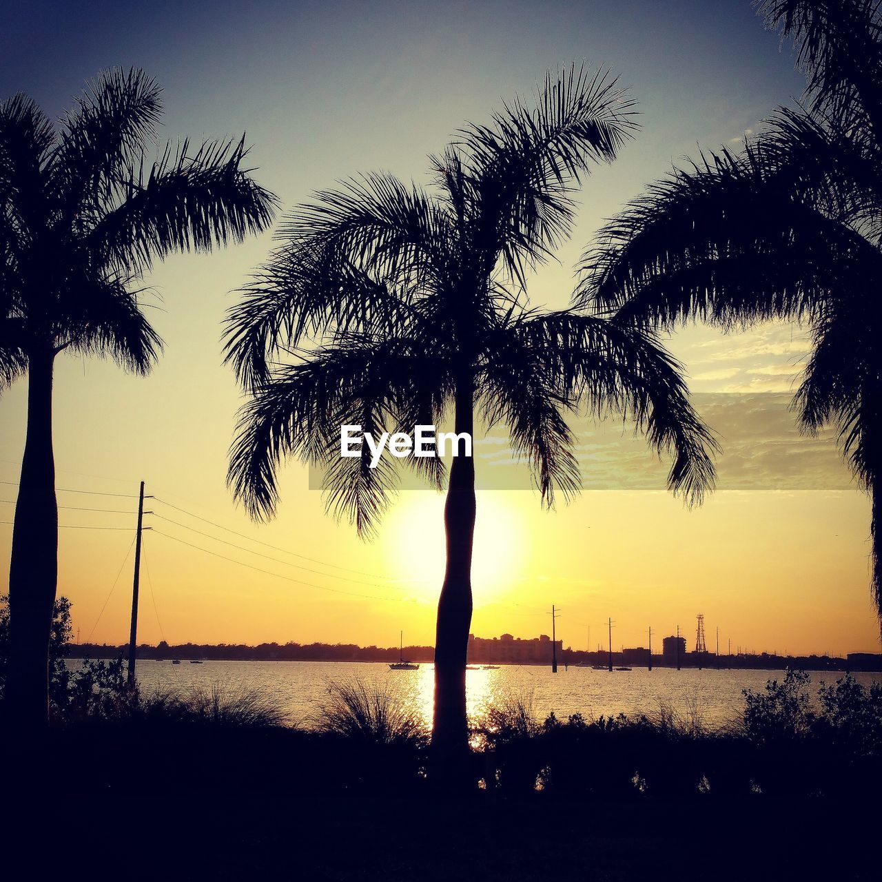 SILHOUETTE PALM TREES AT BEACH DURING SUNSET