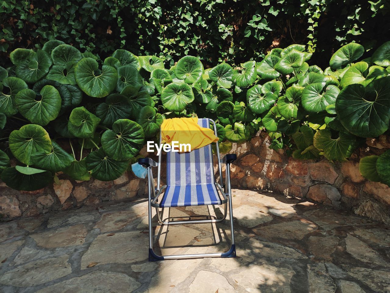 Chairs and plants against trees