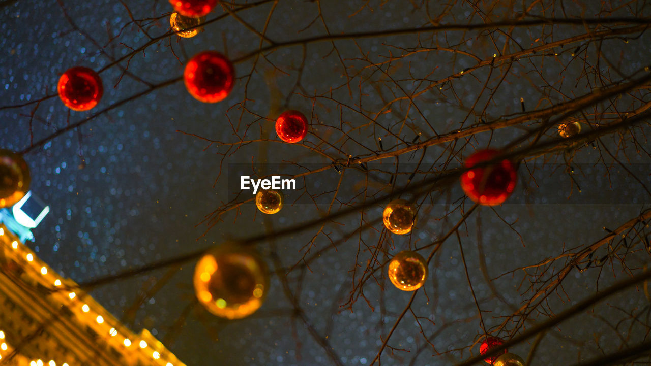 LOW ANGLE VIEW OF BARE TREES AGAINST SKY AT NIGHT