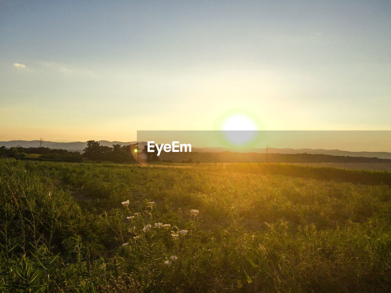 FIELD AGAINST SKY DURING SUNSET