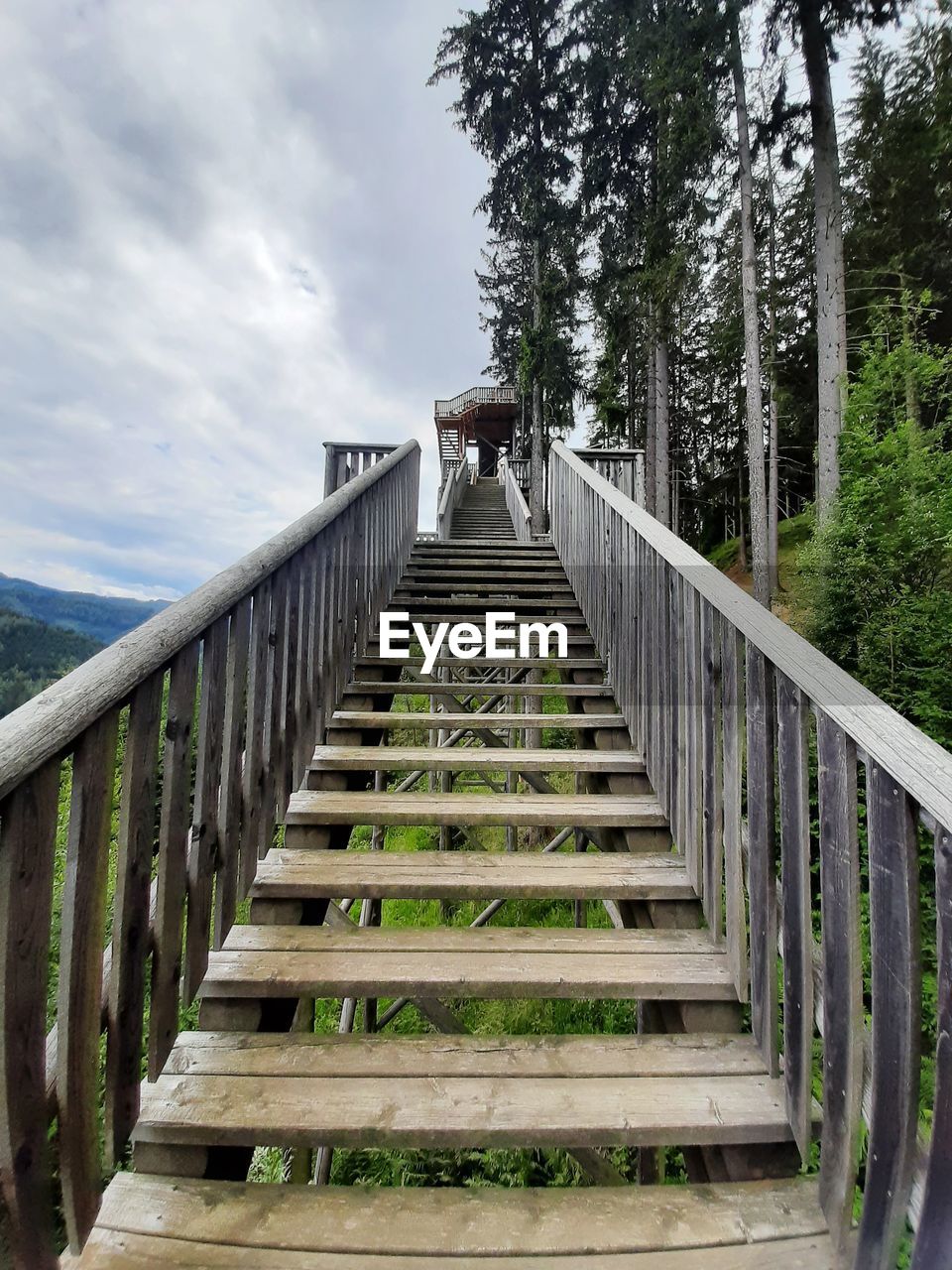 Wooden footbridge along trees and plants against sky