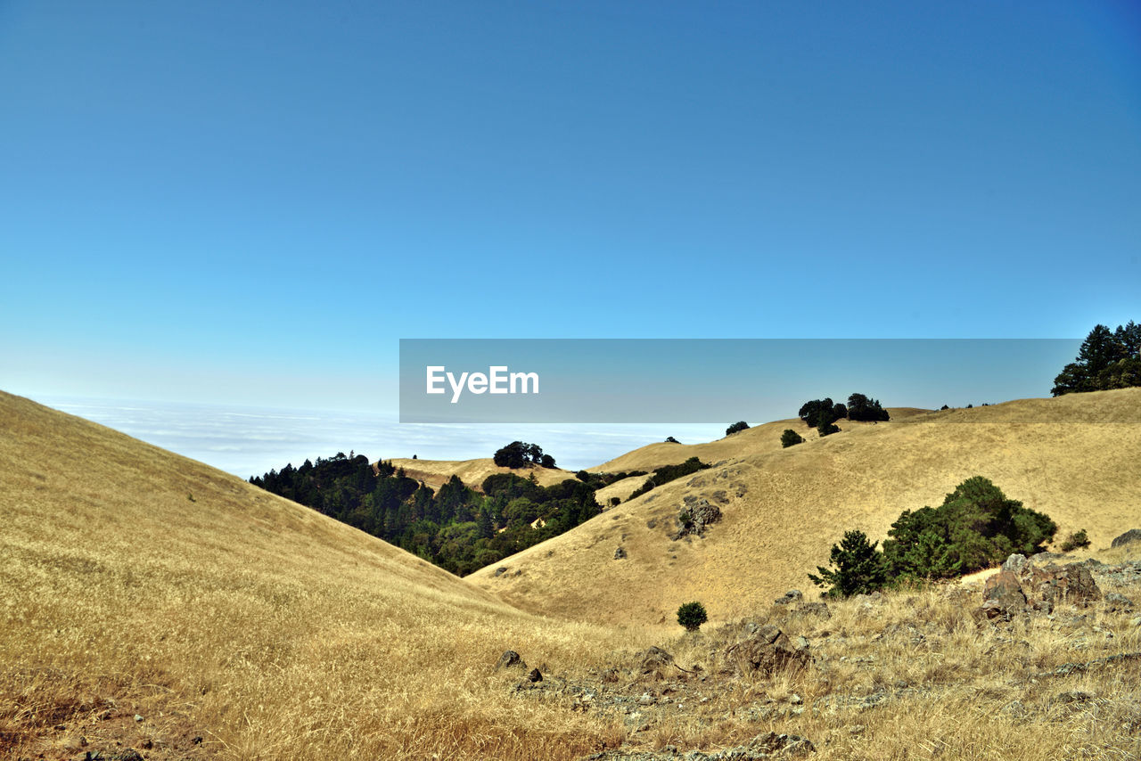 SCENIC VIEW OF DESERT AGAINST CLEAR SKY