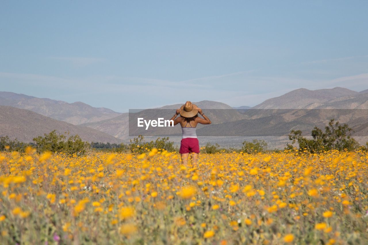 Rear view of person standing on field against mountain