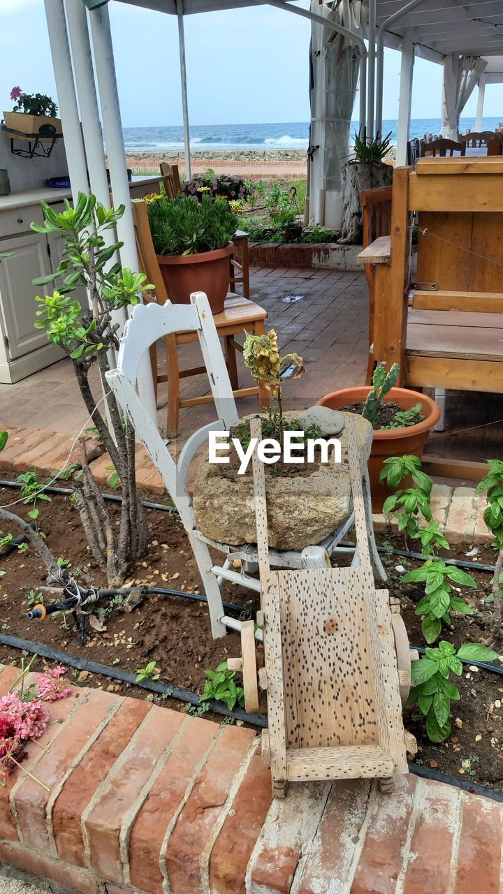 POTTED PLANTS ON CHAIR OUTSIDE BUILDING