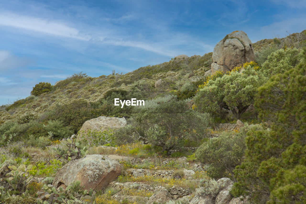 SCENIC VIEW OF ROCK AGAINST SKY