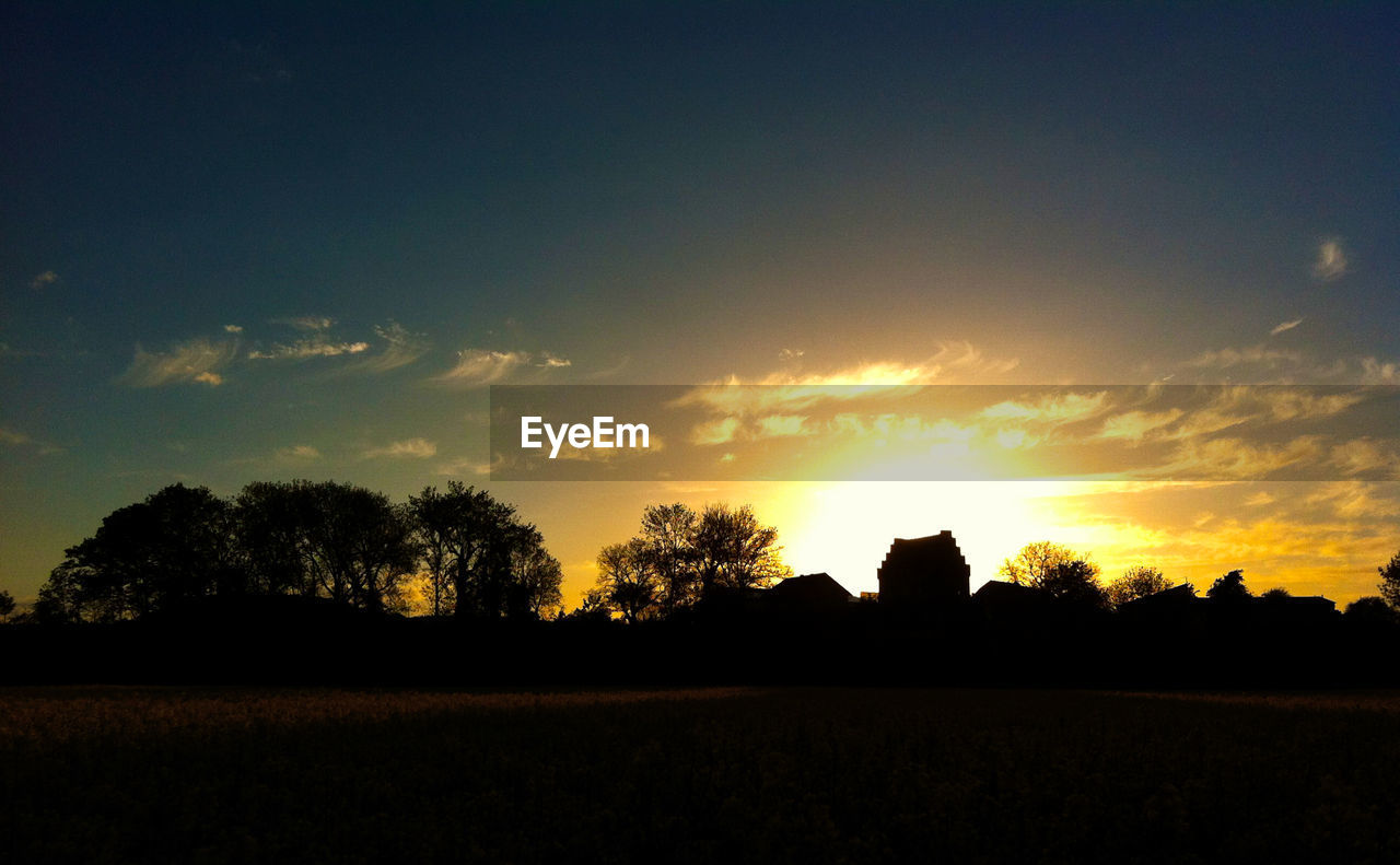 SILHOUETTE TREES ON LANDSCAPE AT SUNSET